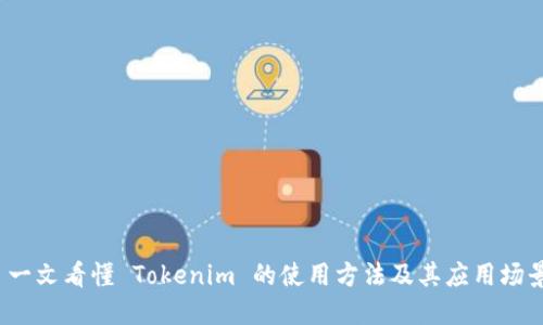  一文看懂 Tokenim 的使用方法及其应用场景