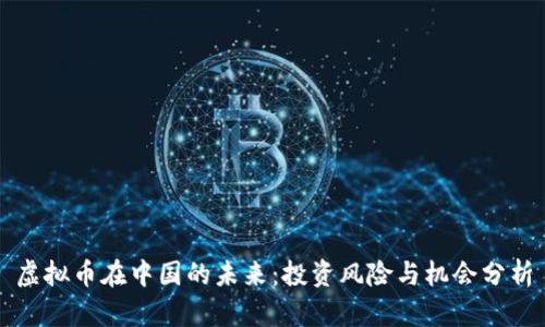 虚拟币在中国的未来：投资风险与机会分析