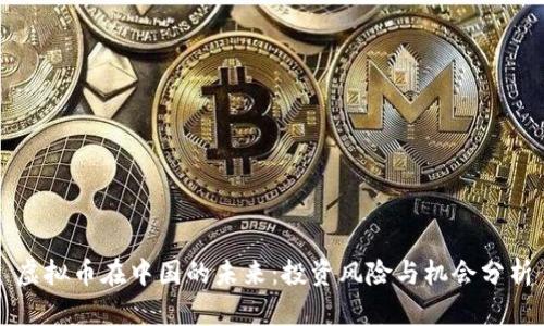虚拟币在中国的未来：投资风险与机会分析