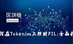 如何在Tokenim上理财FIL：全