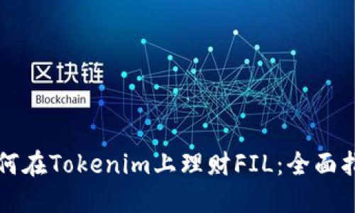 如何在Tokenim上理财FIL：全面指南