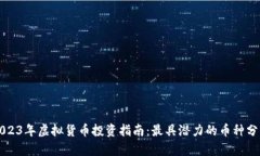 2023年虚拟货币投资指南：