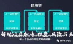 深入了解WSB虚拟币：投资