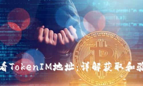 如何查看TokenIM地址：详解获取和验证过程