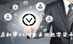 深入了解虚拟币XCH：未来