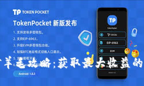 虚拟币挖矿羊毛攻略：获取最大收益的技巧与策略