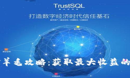 虚拟币挖矿羊毛攻略：获取最大收益的技巧与策略