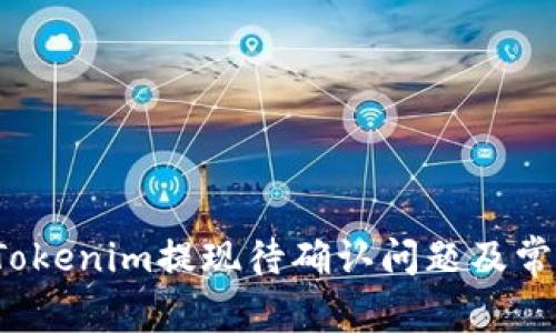  如何解决Tokenim提现待确认问题及常见问题解析