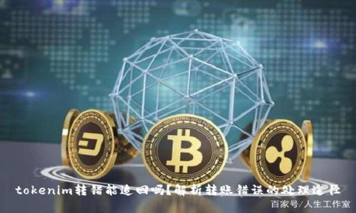 tokenim转错能追回吗？解析转账错误的处理途径