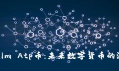 深入探讨Tokenim Atp币：未来