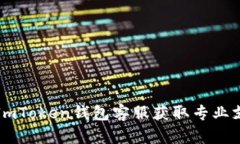 如何高效使用ImToken钱包客服获取专业支持和解决