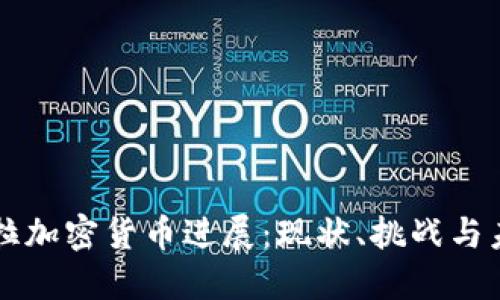 委内瑞拉加密货币进展：现状、挑战与未来展望